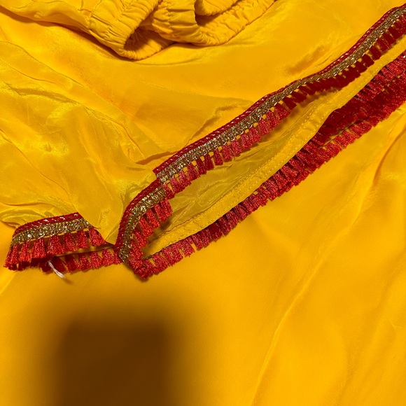 Punjabi palazzo suit - Picture 6 of 10